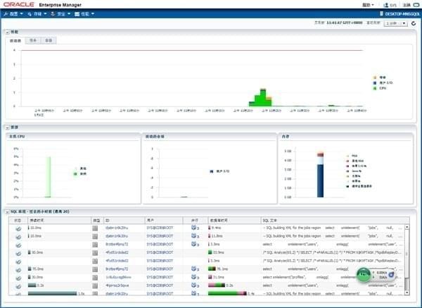 oracle11g°