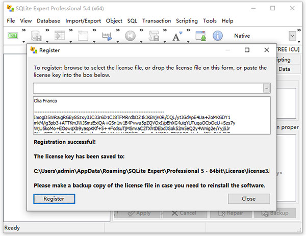 sqlite expert professional