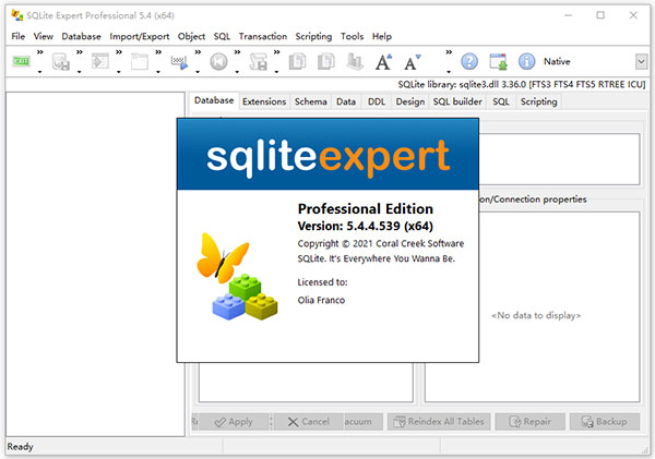 sqlite expert professional