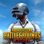 pubgʷ